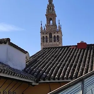Conteros Urban Sevilla